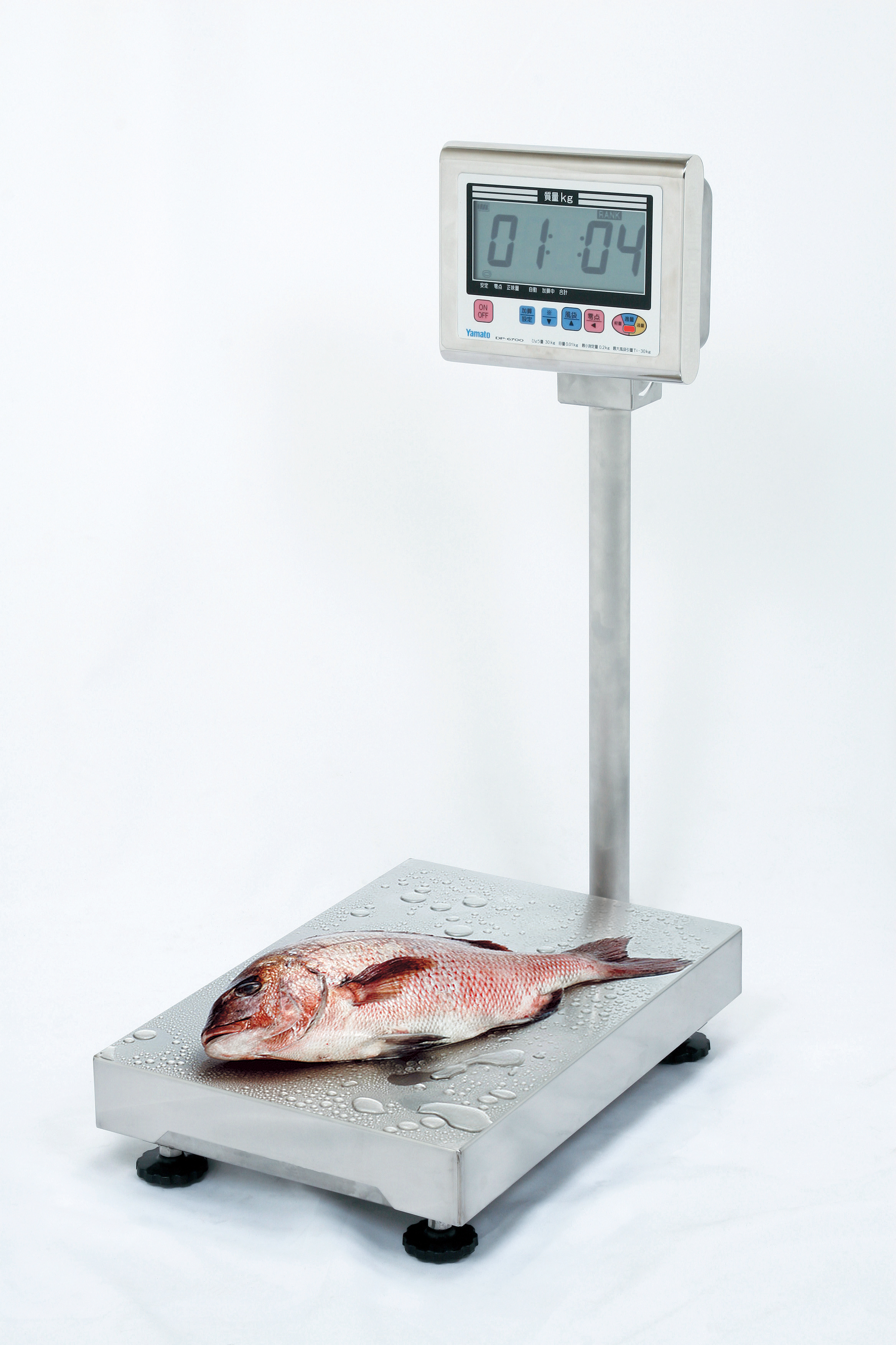 Yamato DKS-3002 4LB Digital Scale – Alaska Butcher Equipment & Supply